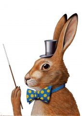 Plakat Illustrationen