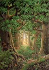 Plakat Illustrationen