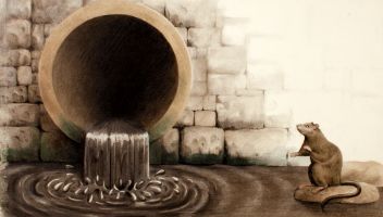 Sachbuch Illustrationen